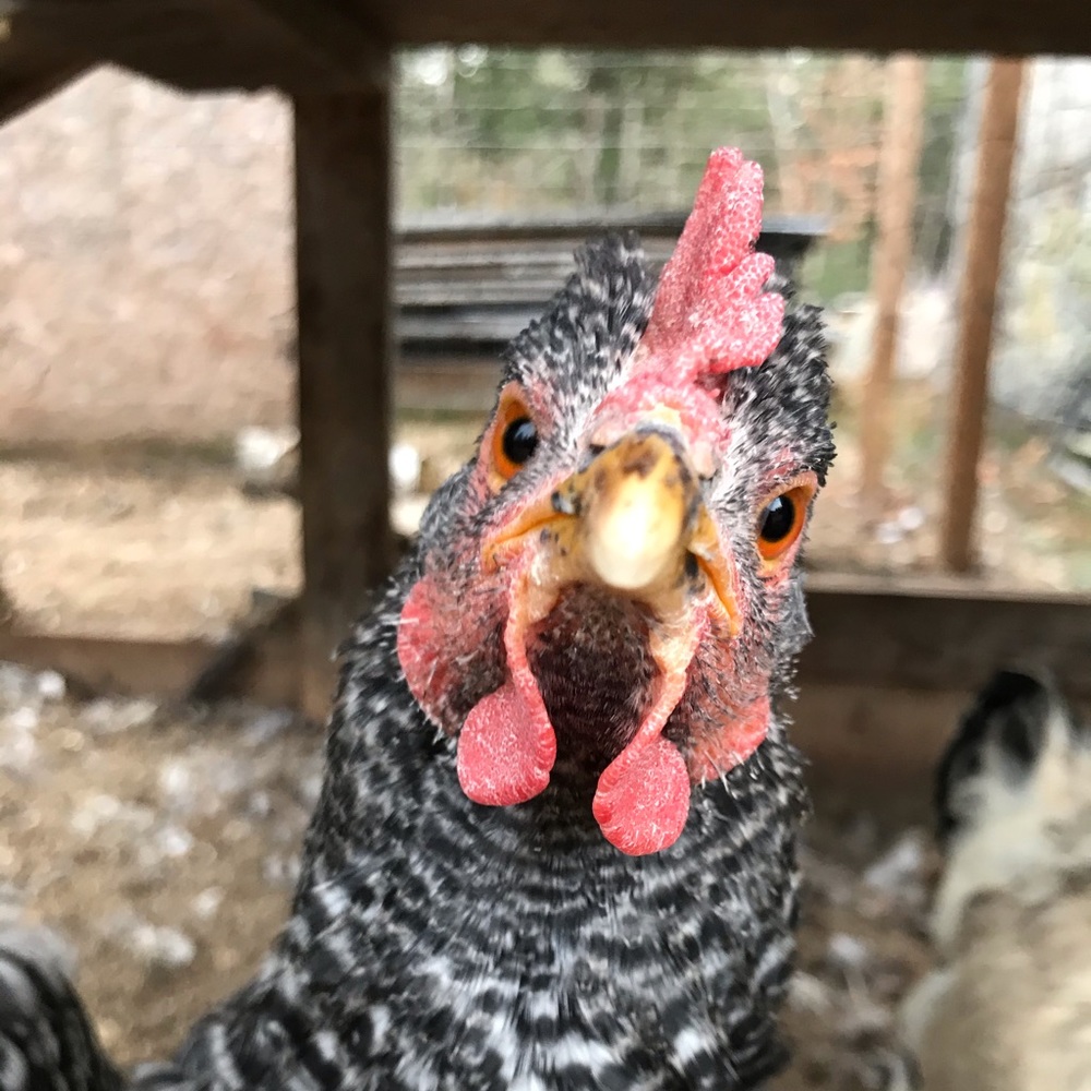 Meet your Posher, Lynn